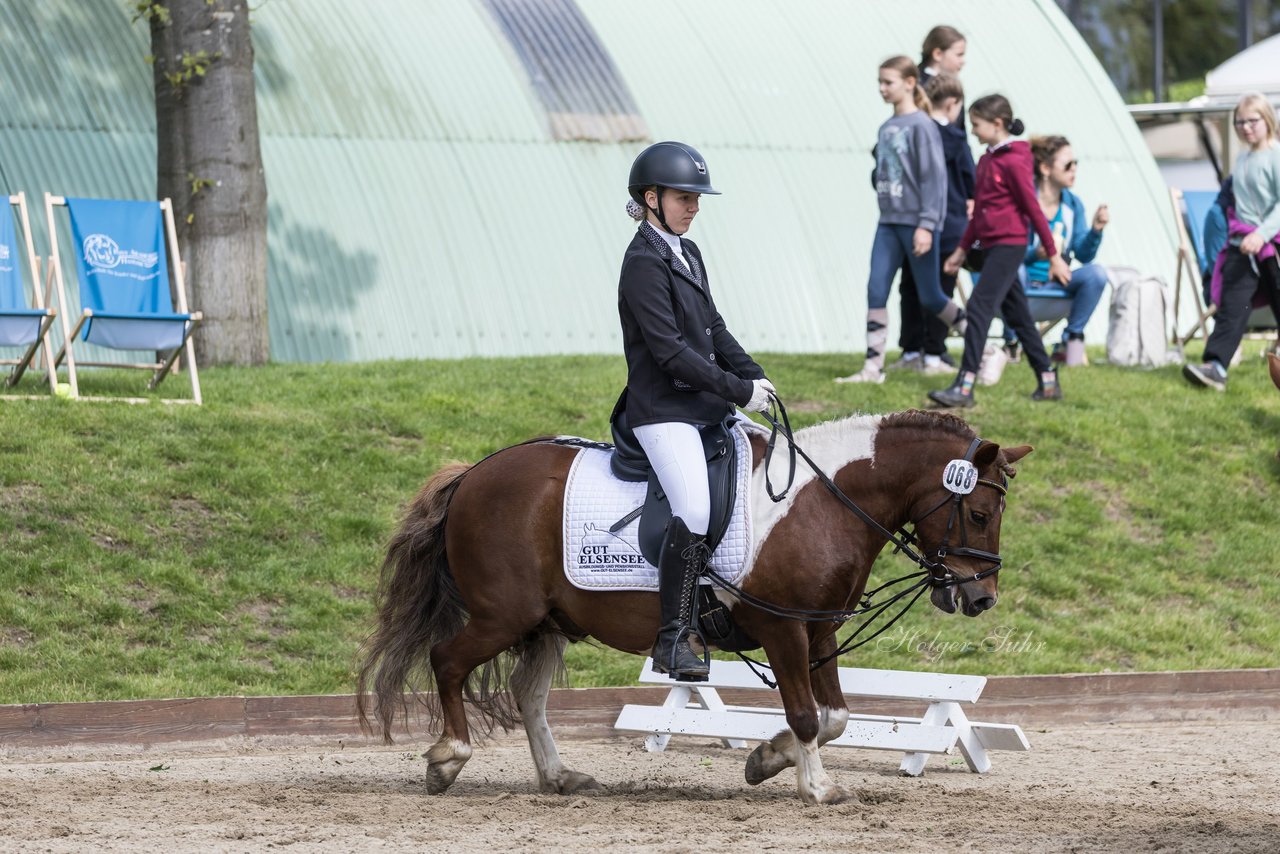 Bild 335 - Pony Akademie Turnier
